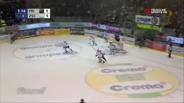 Fribourg Gottéron n&#039;arrive pas a enchaîner les victoires