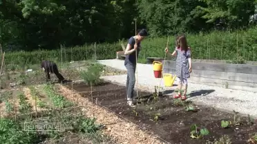 Un potager dans ma ville