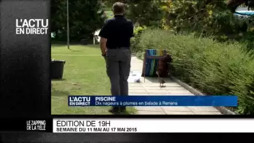 Le Zapping de La Télé