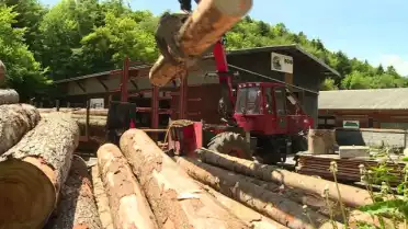 Modernisation de la scierie de Corbeyrier