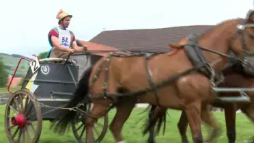 Courses populaires de chevaux à Vuippens