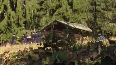 Festival Le bois qui chante à Château-d’Oex