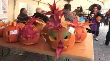 Courge en fête à Echallens