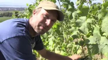1H avec un viticulteur