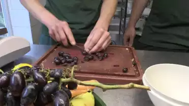 Robin a testé le soin des animaux