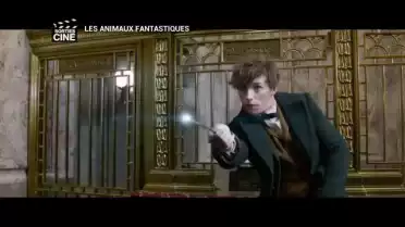 La «préquelle» de la saga Harry Potter débarque au cinéma !