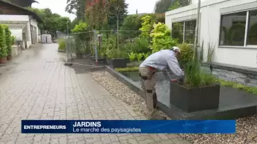 Le marché des paysagistes