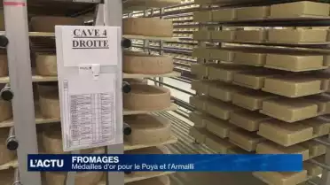 Médailles d&#039;or pour deux fromages fribourgeois