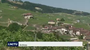 Les paysages vaudois reconnus par le NY Times