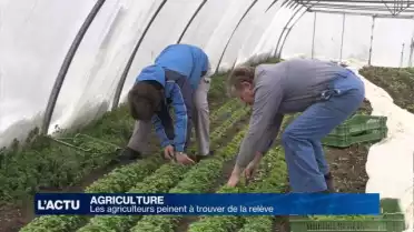 Les agriculteurs peinent à trouver de la relève