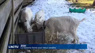 La Garenne ferme pour mieux renaître