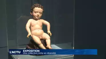 Une collection riche en diversité