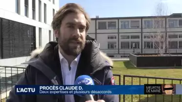 Procès Claude.D : les experts devant les juges