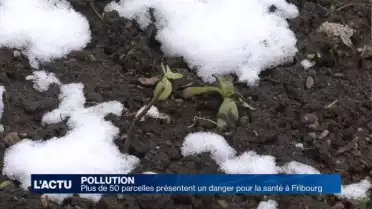 Plus de 50 parcelles présentent un danger pour la santé (FR)