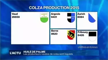 Les producteurs vaudois de colza sont inquiets