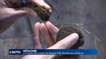 La tourbe, témoin du passé géologique de la Singine