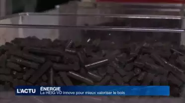La HEIG-VD innove pour mieux valoriser le bois