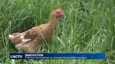 Un Fribourgeois primé pour ses poulaillers novateurs