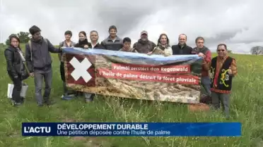 Une pétition contre l'huile de palme malaisienne en Suisse