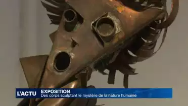 Le mystère de la nature humaine en sculpture