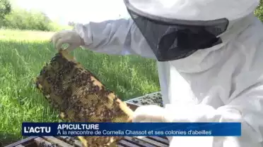 Rencontre avec Cornelia Chassot et ses colonies d&#039;abeilles
