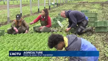 Dans la peau d&#039;un maraîcher