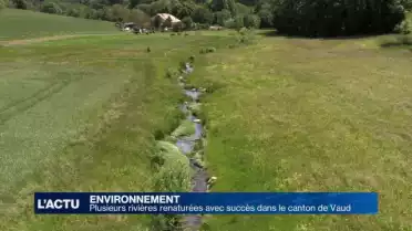 Plusieurs rivières ont été renaturées avec succès (VD)