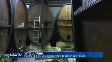 Foudre en bois: un objet rare dans le canton de Fribourg