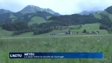 Des pluies gênantes pour les agriculteurs fribourgeois