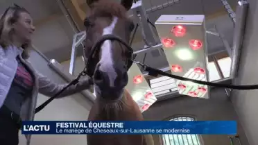 Les chevaux sont &quot;chouchoutés&quot; à Cheseaux-sur-Lausanne