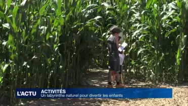 Un labyrinthe naturel créé par des passionnés