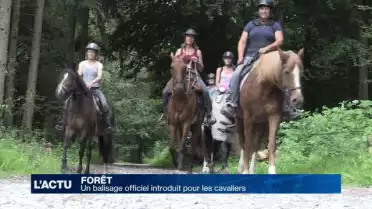 Un balisage officiel est introduit pour les cavaliers
