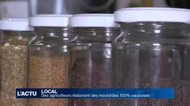 Des moutardes 100% vaudoises accompagnerons nos repas