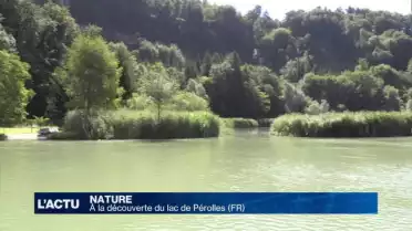À la découverte du lac de Pérolles