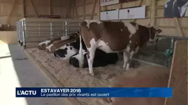 Le pavillon des prix vivants d&#039;Estavayer 2016 est ouvert