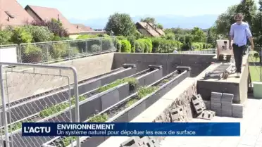 Un système naturel pour dépolluer les eaux de surface