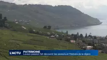Lavaux passion fera découvrir l&#039;histoire des vignobles
