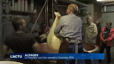 La Désalpe aura lieu samedi 24 septembre à Charmey (FR)