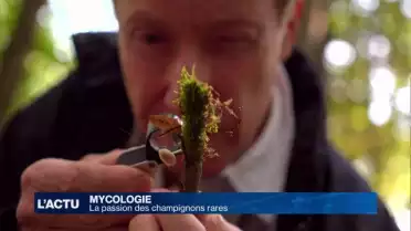 La passion des champignons rares
