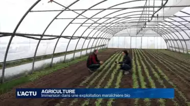 Littérature: immersion dans une exploitation maraîchière bio