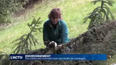Des bénévoles au service des forêts de montagne