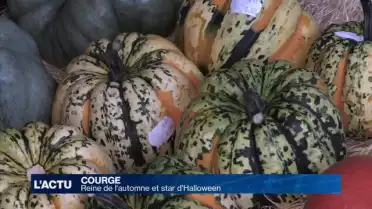 La courge, reine de l'automne et star d'Halloween