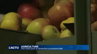 Des fruits pour la réinsertion professionnelle