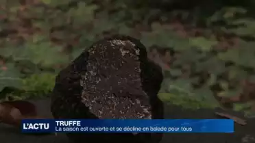 La saison est ouverte et se décline en balade pour tous
