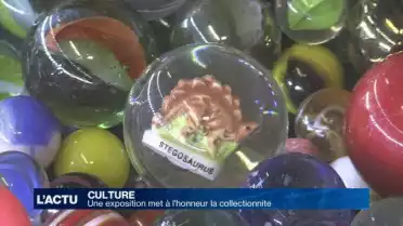 Une exposition met à l&#039;honneur la collectionnite