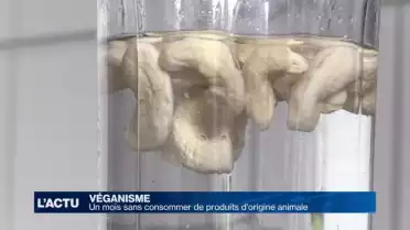 Un mois sans consommer de produits d&#039;origine animale