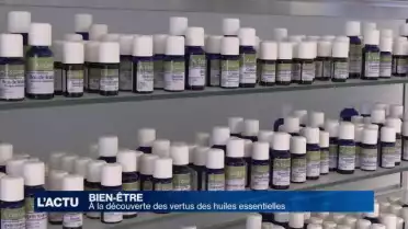À la découverte des vertus des huiles essentielles