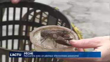 A la pêche aux écrevisses dans la Vallée de Joux