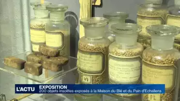 Objets insolites à la Maison du Blé et du Pain d&#039;Echallens