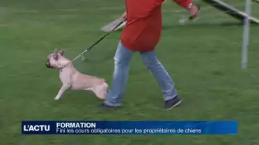 Fini les cours obligatoires pour les propriétaires de chiens